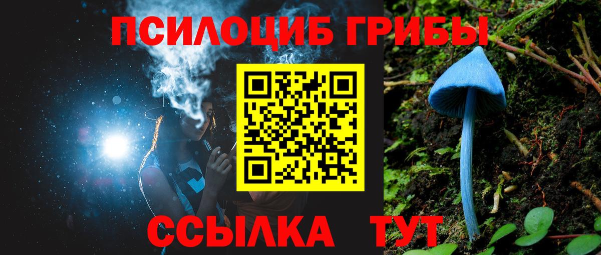 Архангельск  Галлюциногенные грибы Cubensis  Вход с VPN  Псилоцибиновые грибы мухоморы 