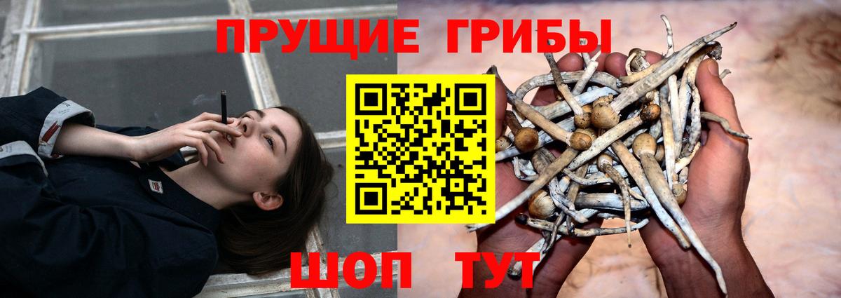 Галлюциногенные грибы Magic Shrooms Архангельск
